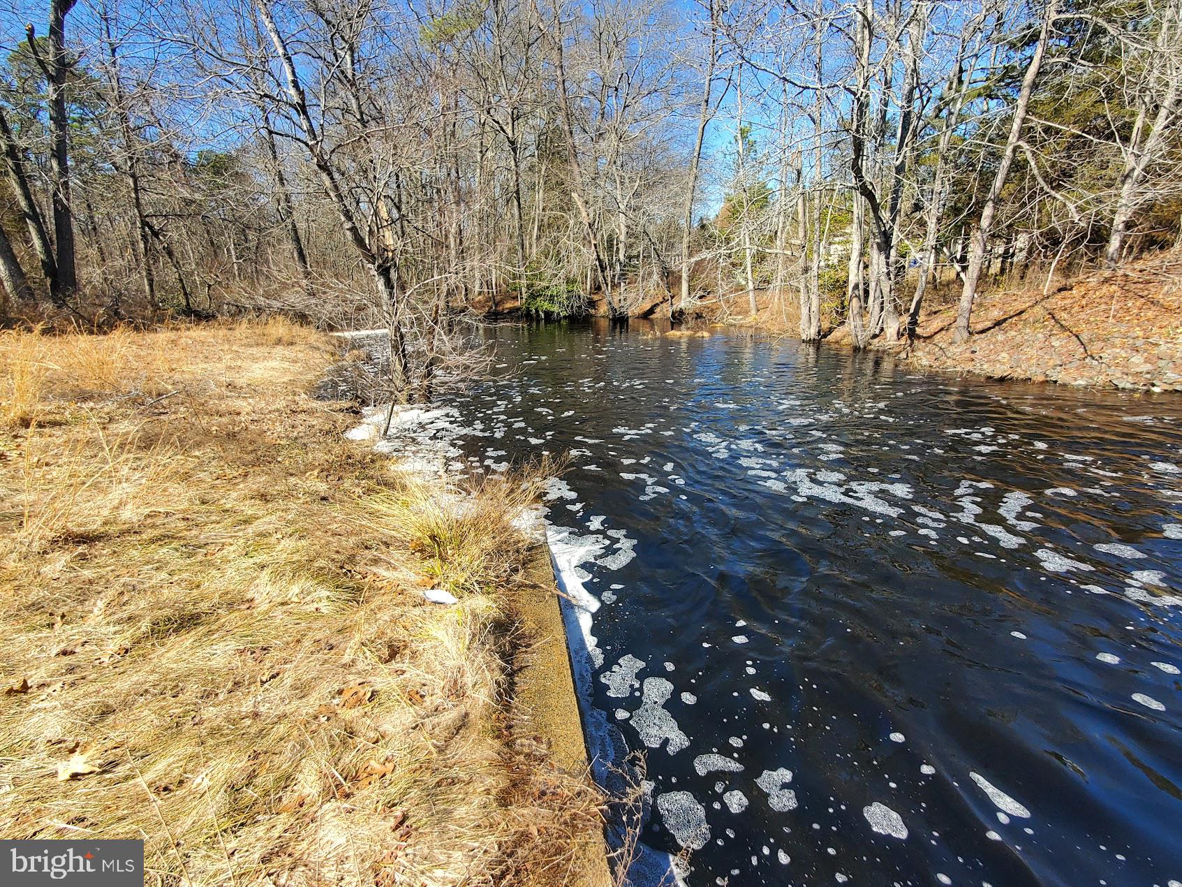 120 Four Mile Road Pemberton, NJ 08068 - Photo 3 of 28