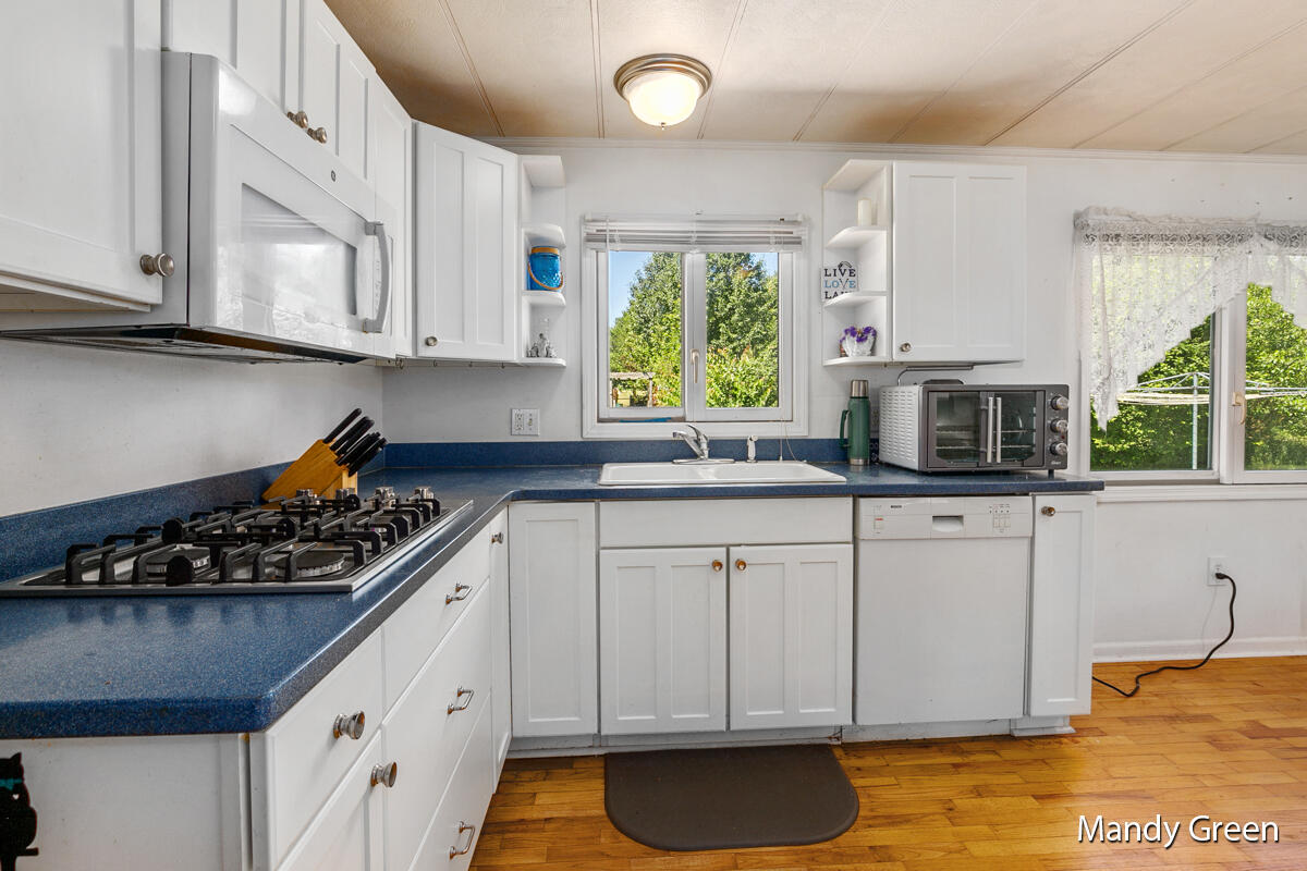 231 Rasmussen Drive Trufant, MI 49347 - Photo 10 of 20 IMG_1008