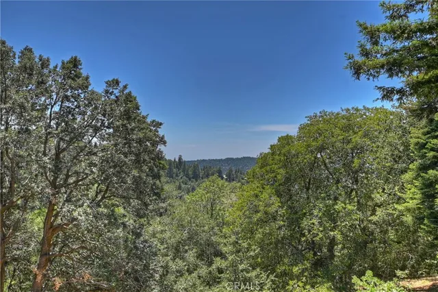 a view of a city with lush green forest