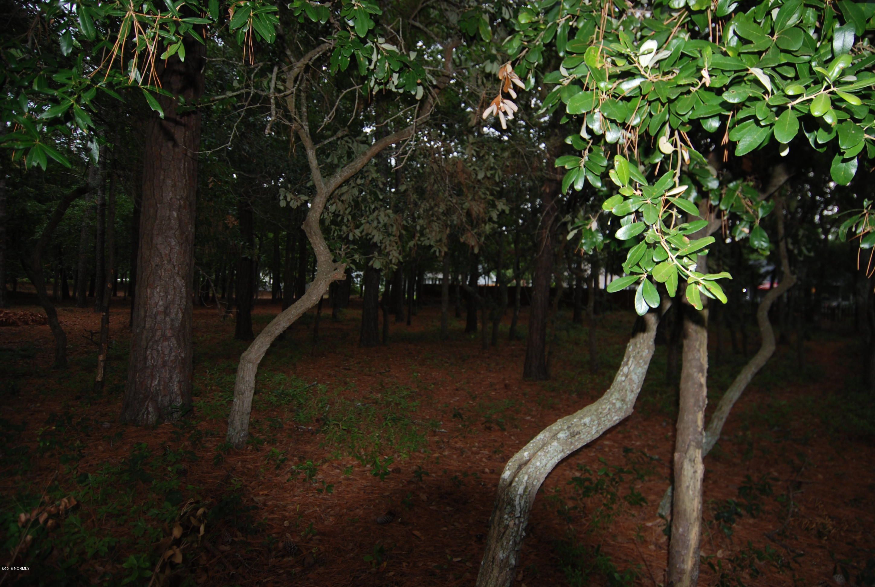 7100 Old Georgetown Road Southwest Ocean Isle Beach, NC 28469 - Photo 1 of 1 DSC_0040