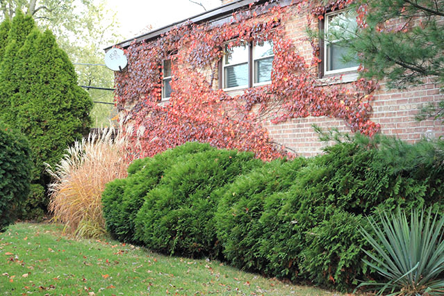 1700 Evergreen Road Homewood, IL 60430 - Photo 25 of 28