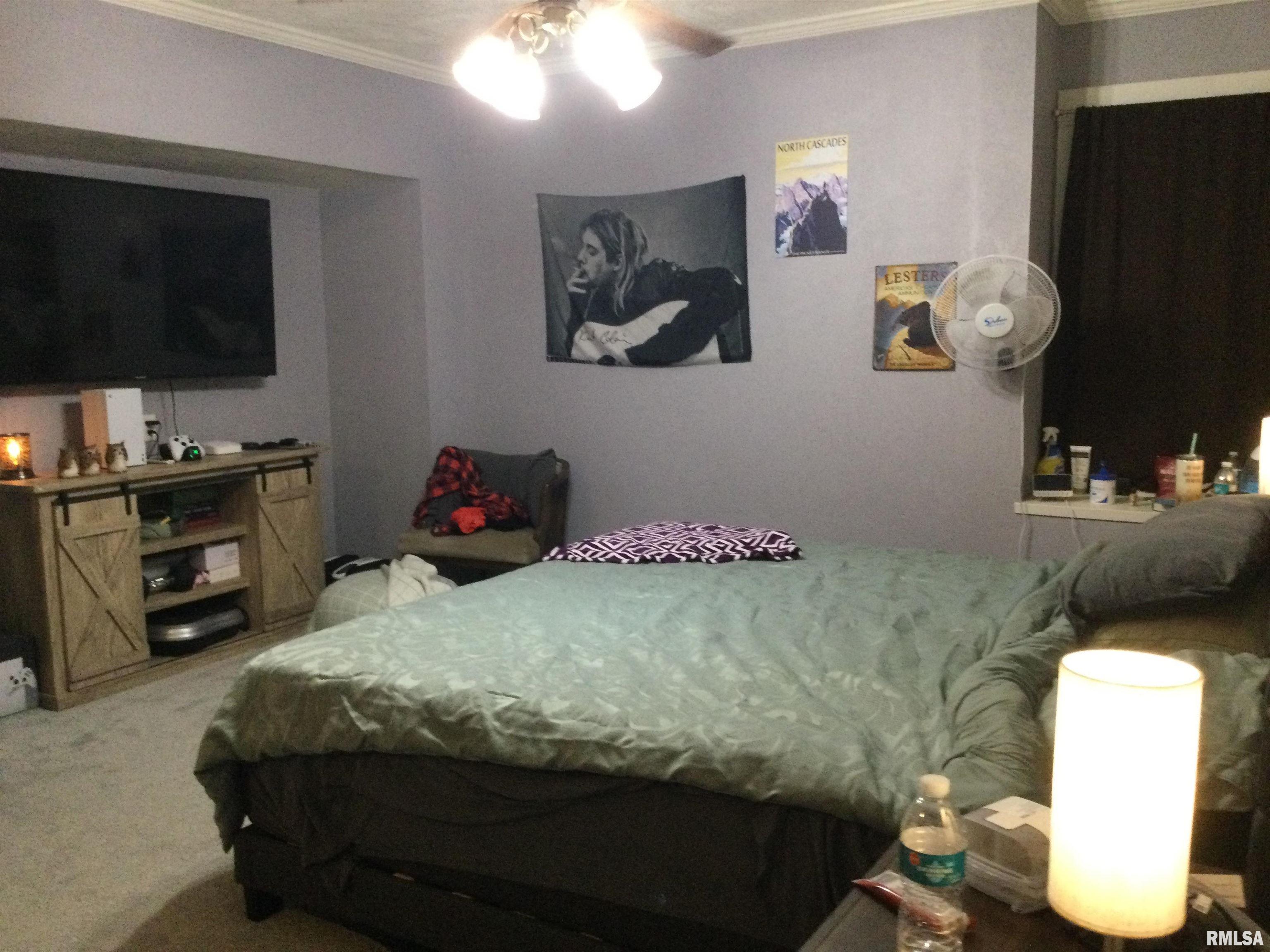 1904 Division Street Murphysboro, IL 62966 - Photo 27 of 46