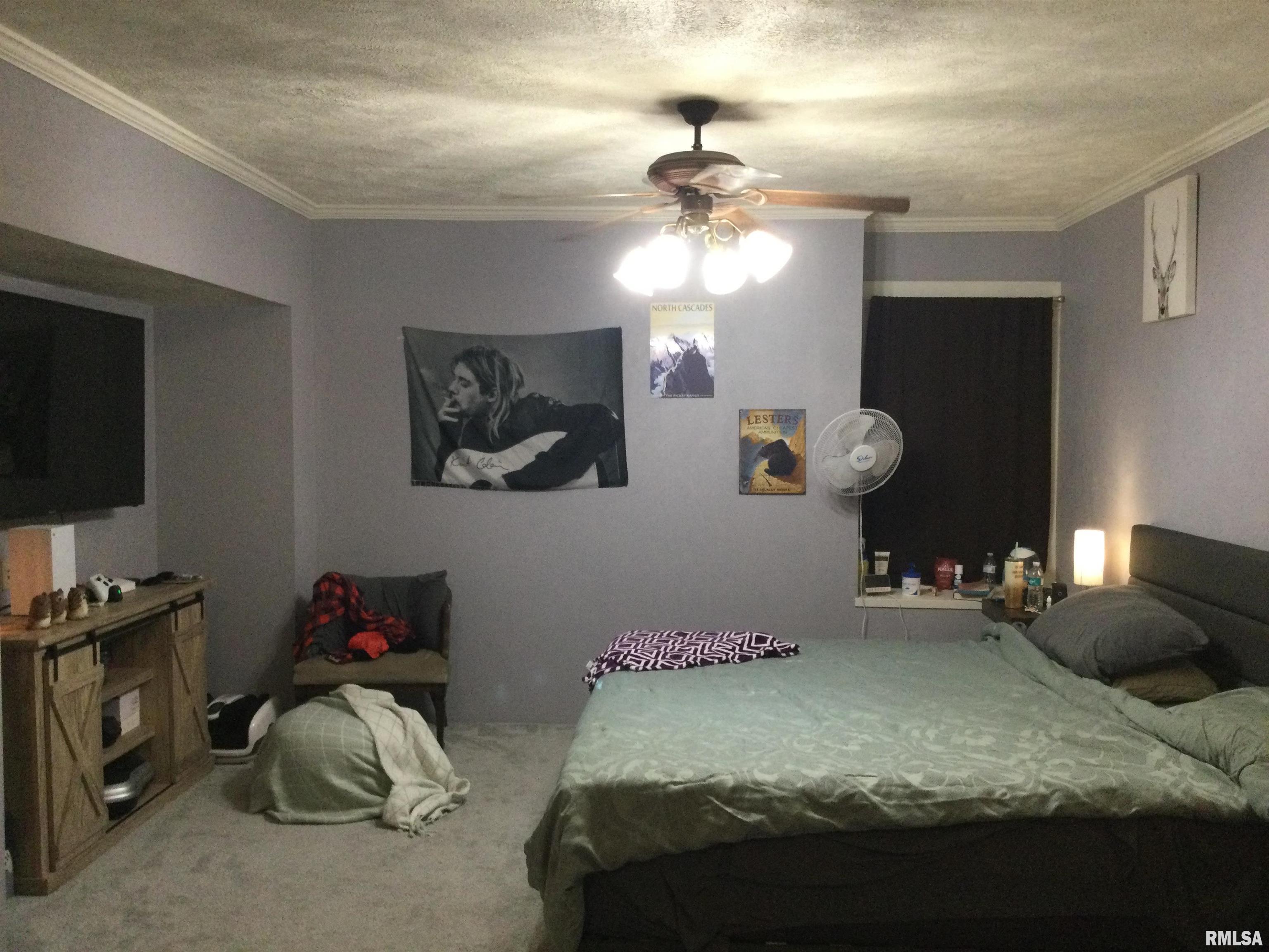 1904 Division Street Murphysboro, IL 62966 - Photo 34 of 46