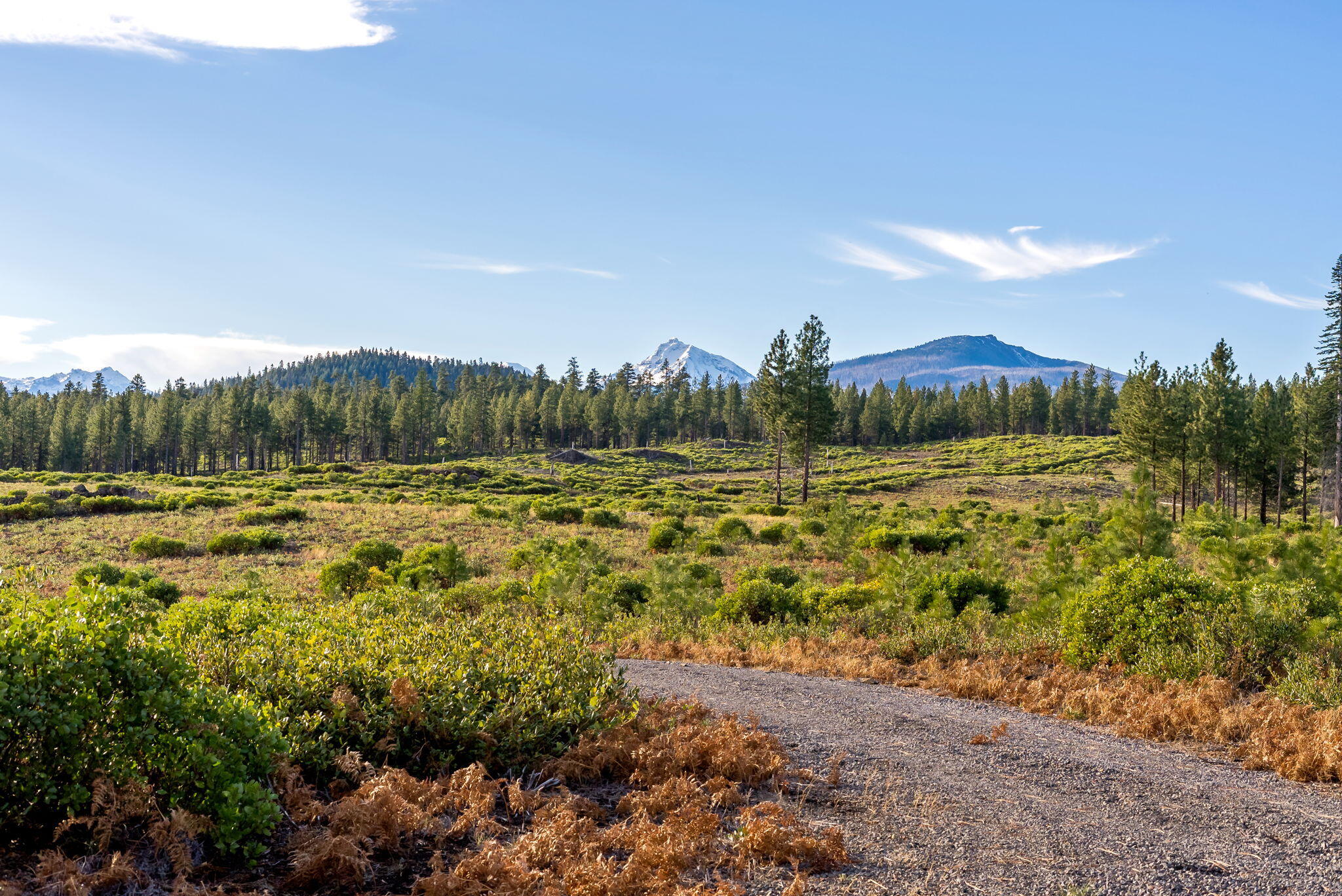 70410 McAllister Road, Unit FS ROAD 2060 Sisters, OR 97759 - Photo 10 of 28