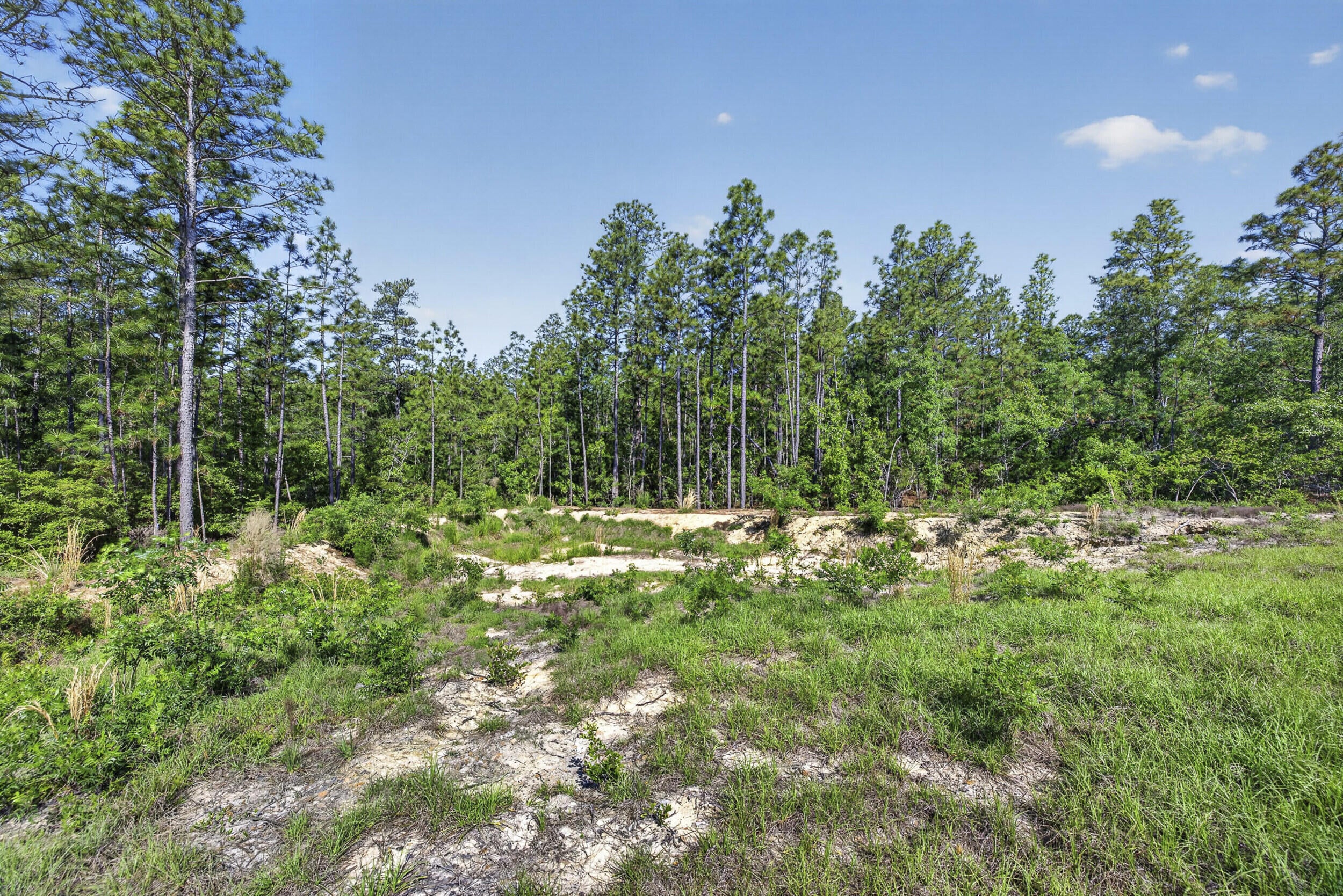 150 Ridgecrest Road Graniteville, SC 29829 - Photo 22 of 34