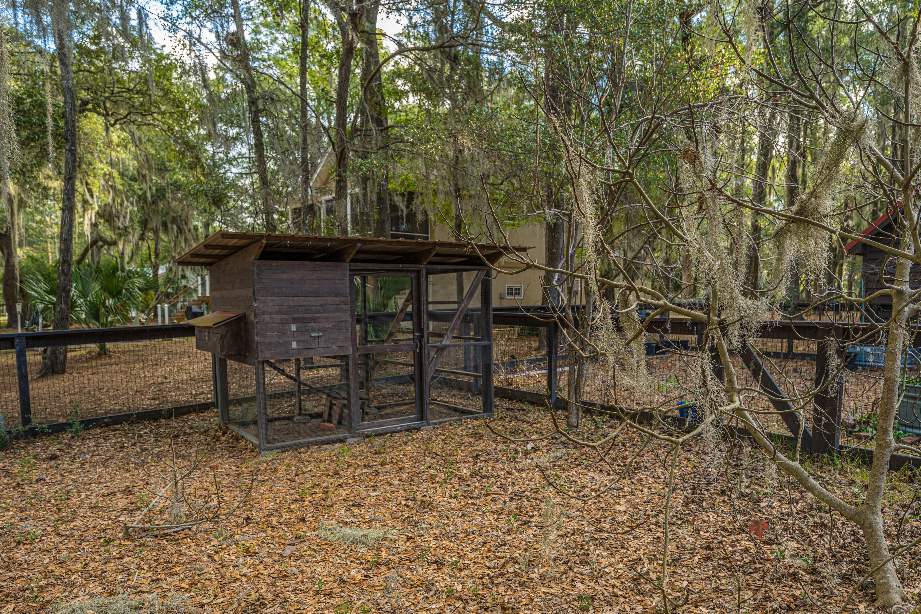 8452 Chisolm Plantation Road Edisto Island, SC 29438 - Photo 57 of 68 8452ChisolmPlantationRd054