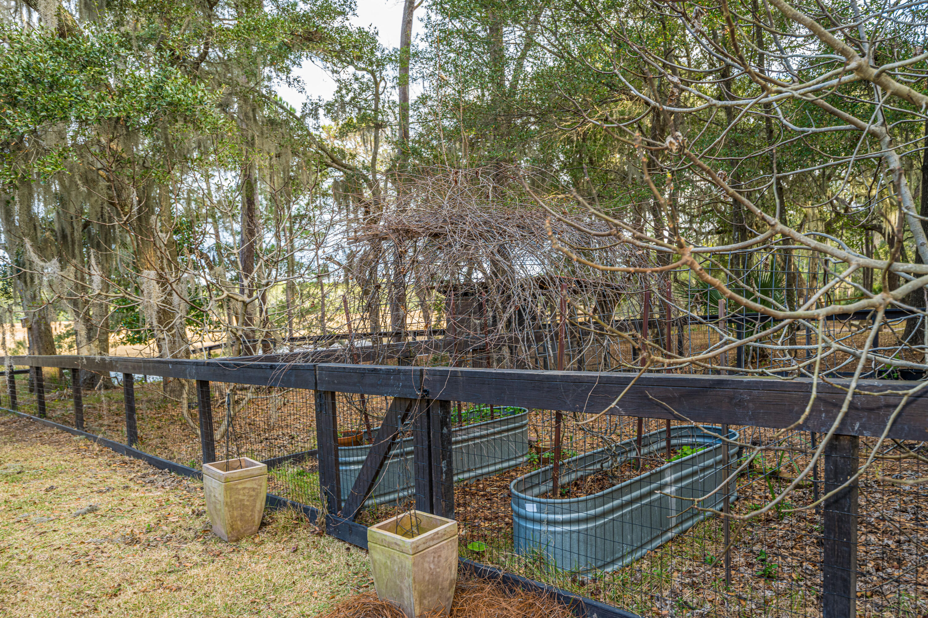 8452 Chisolm Plantation Road Edisto Island, SC 29438 - Photo 58 of 68 8452ChisolmPlantationRd055