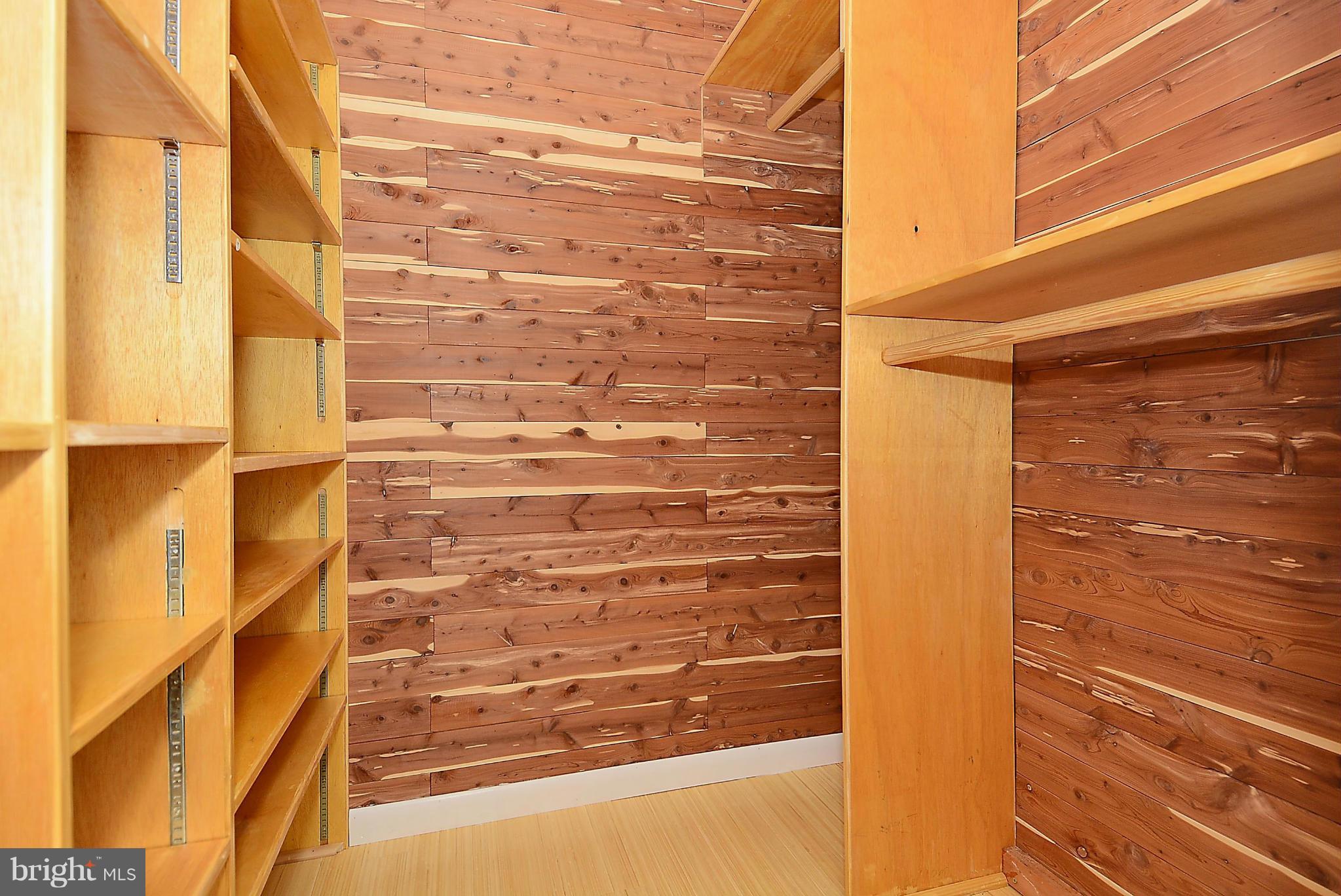1509 Winding Waye Lane Silver Spring, MD 20902 - Photo 18 of 30 Walk-in-Closet