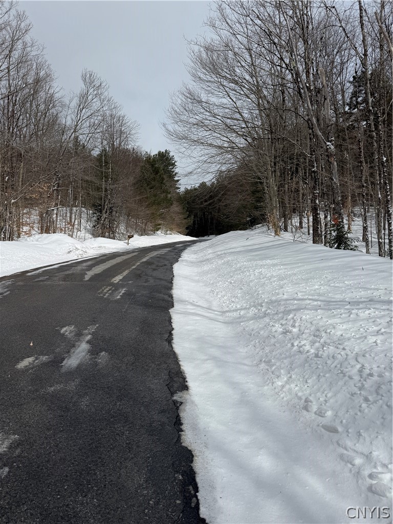 Lot#3 Roberts Road Remsen, NY 13438 - Photo 1 of 28