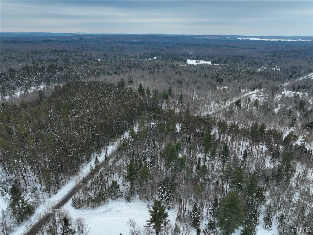 Lot#3 Roberts Road Remsen, NY 13438 - Photo 12 of 28