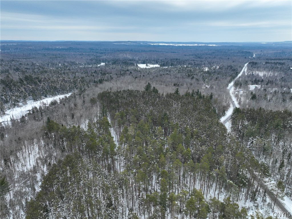 Lot#3 Roberts Road Remsen, NY 13438 - Photo 13 of 28