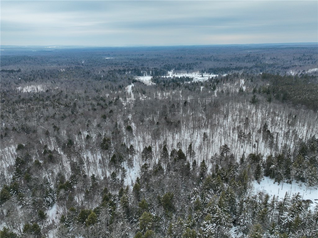 Lot#3 Roberts Road Remsen, NY 13438 - Photo 15 of 28