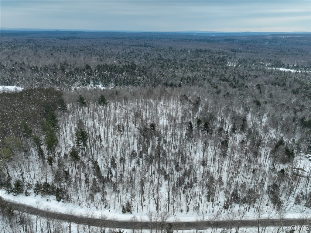 Lot#3 Roberts Road Remsen, NY 13438 - Photo 18 of 28