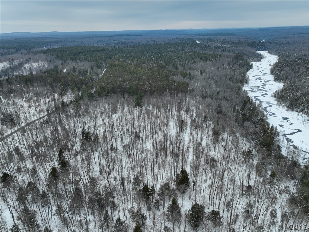 Lot#3 Roberts Road Remsen, NY 13438 - Photo 19 of 28