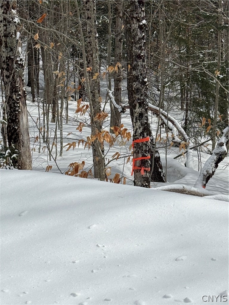 Lot#3 Roberts Road Remsen, NY 13438 - Photo 2 of 28