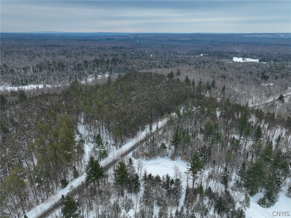 Lot#3 Roberts Road Remsen, NY 13438 - Photo 21 of 28