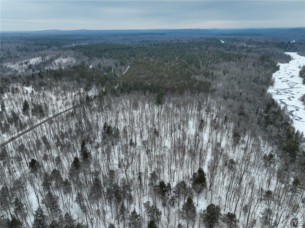Lot#3 Roberts Road Remsen, NY 13438 - Photo 22 of 28
