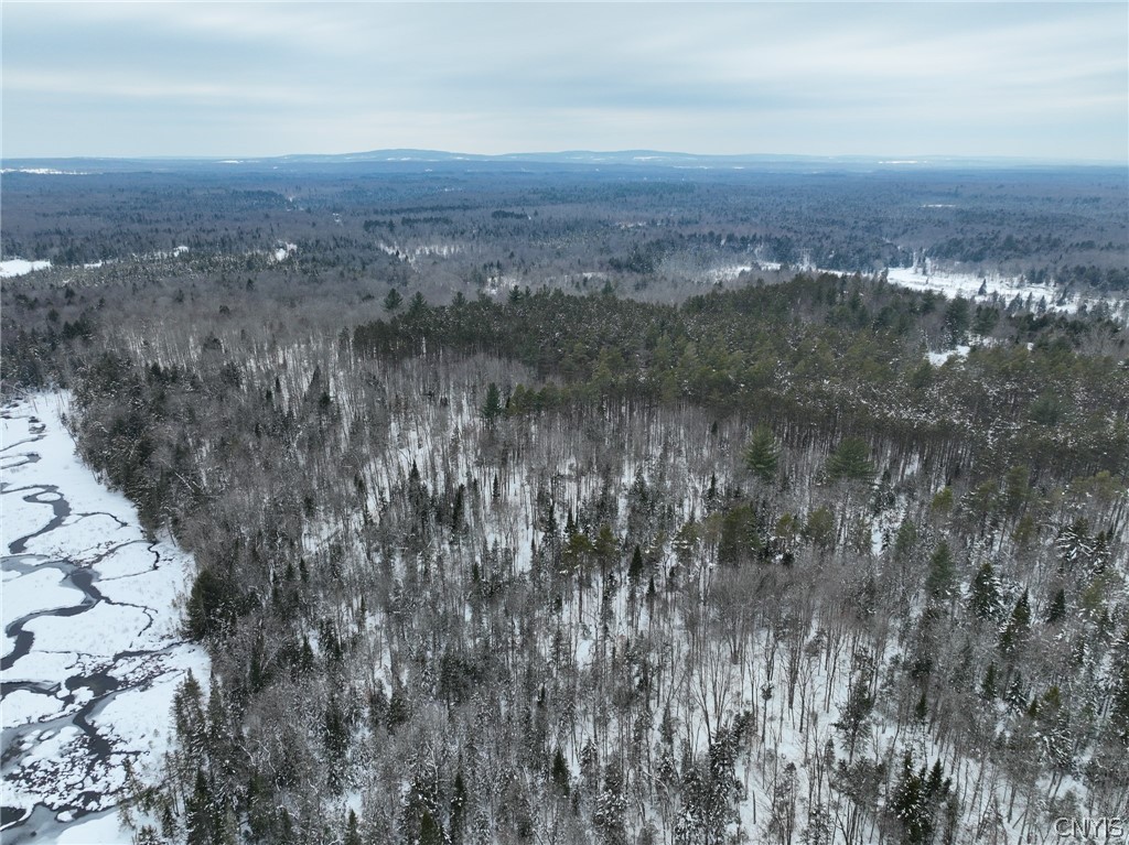 Lot#3 Roberts Road Remsen, NY 13438 - Photo 25 of 28