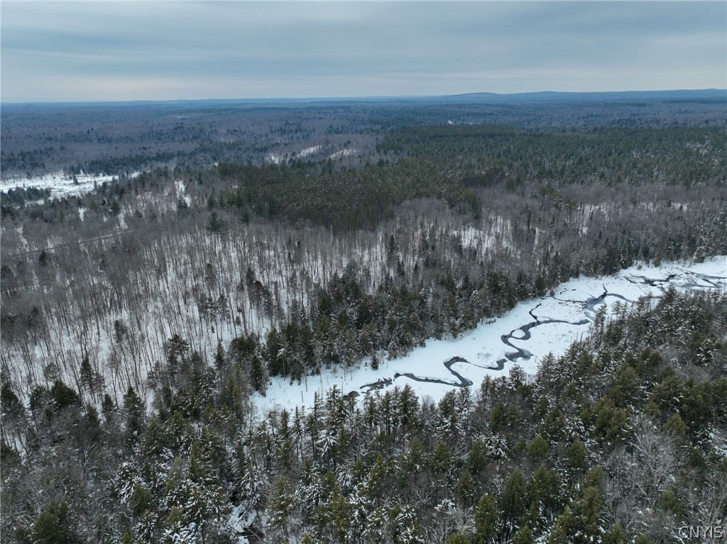 Lot#3 Roberts Road Remsen, NY 13438 - Photo 27 of 28