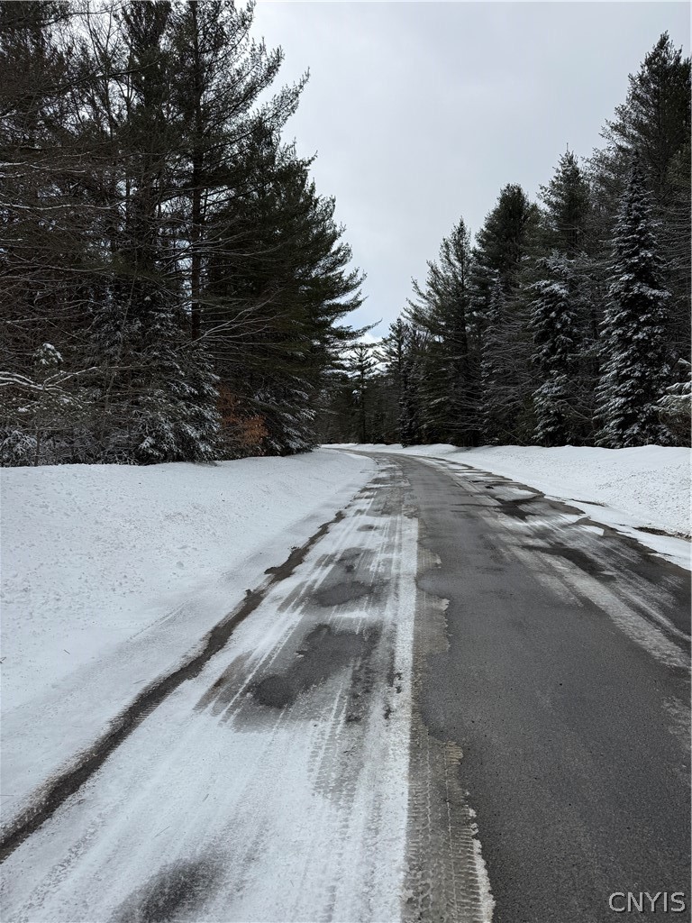 Lot#3 Roberts Road Remsen, NY 13438 - Photo 3 of 28