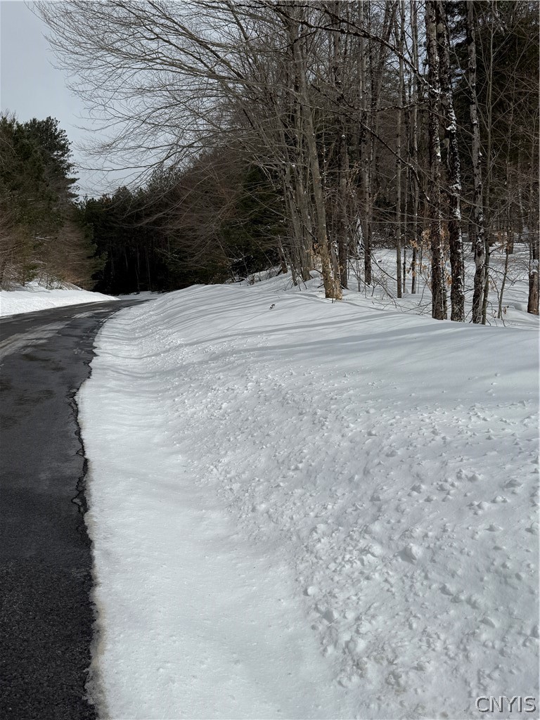 Lot#3 Roberts Road Remsen, NY 13438 - Photo 4 of 28