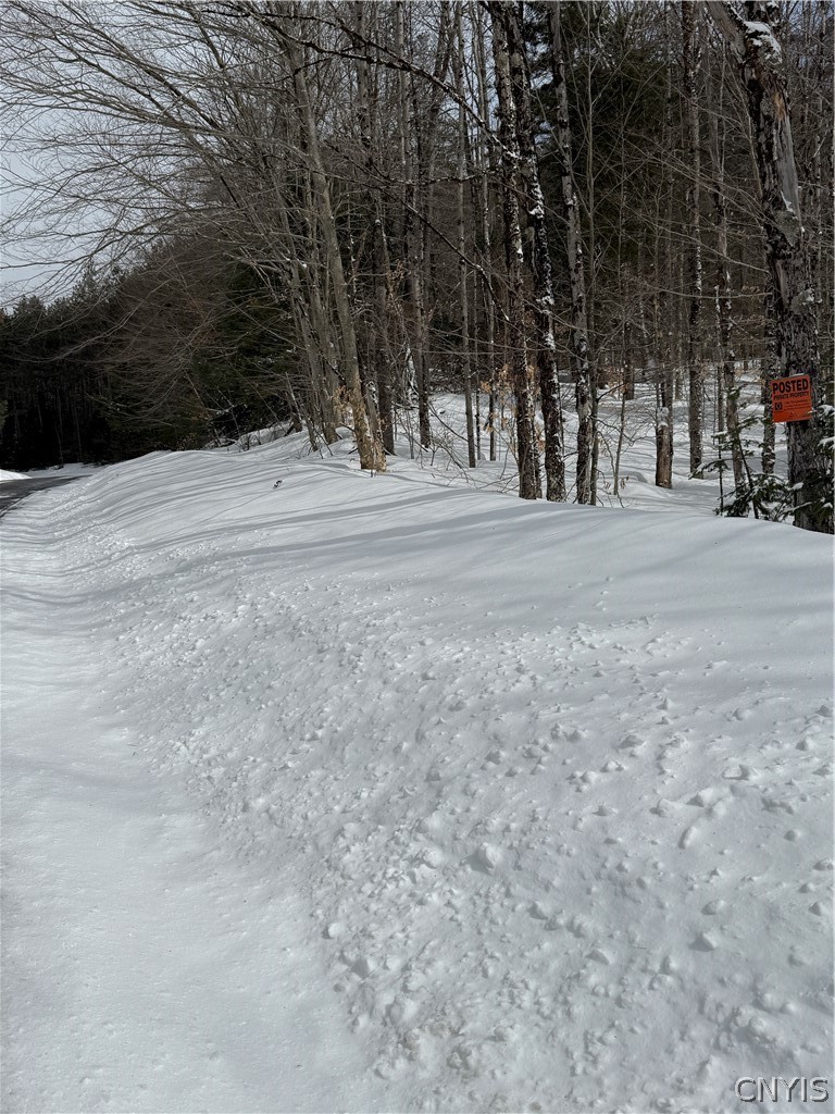 Lot#3 Roberts Road Remsen, NY 13438 - Photo 5 of 28