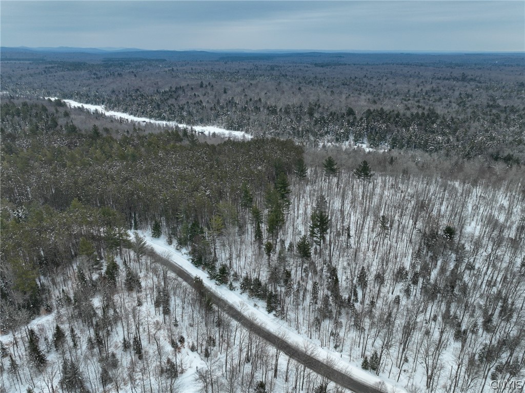 Lot#3 Roberts Road Remsen, NY 13438 - Photo 10 of 28
