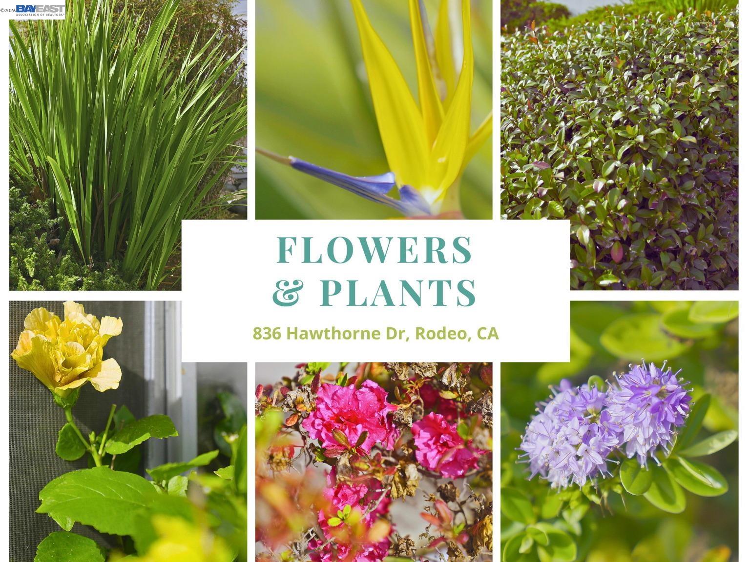 836 Hawthorne Drive Rodeo, CA 94572 - Photo 47 of 60