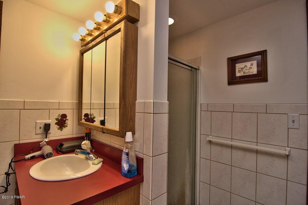 303 Relda Road Moscow, PA 18444 - Photo 54 of 62 Lower Level Bathroom View 2