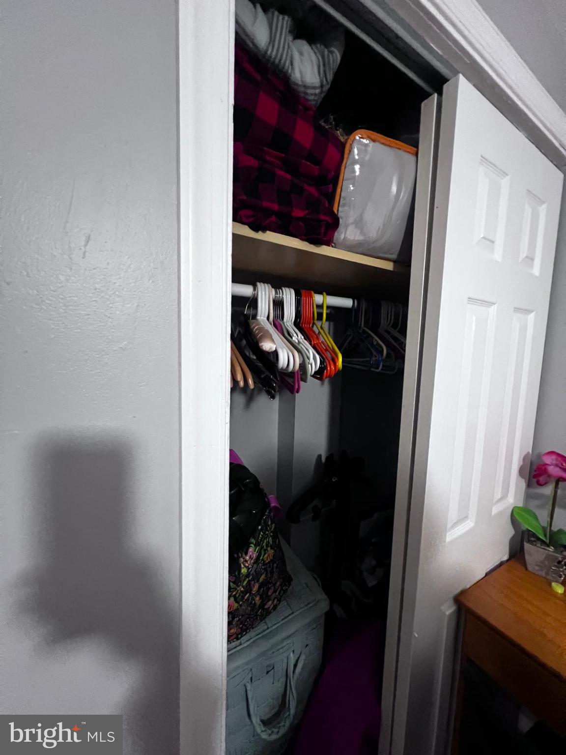 12715 Cabell Road Philadelphia, PA 19154 - Photo 19 of 33 Organized closet with vibrant storage options.