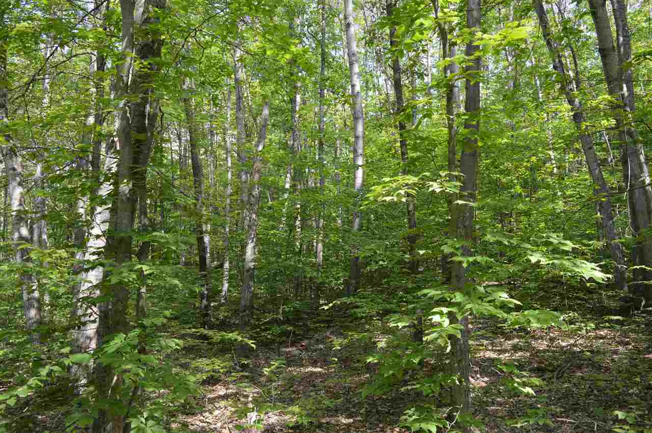 16 East 16 Mile Road Reed City, MI 49677 - Photo 22 of 23 1889278-21.JPG