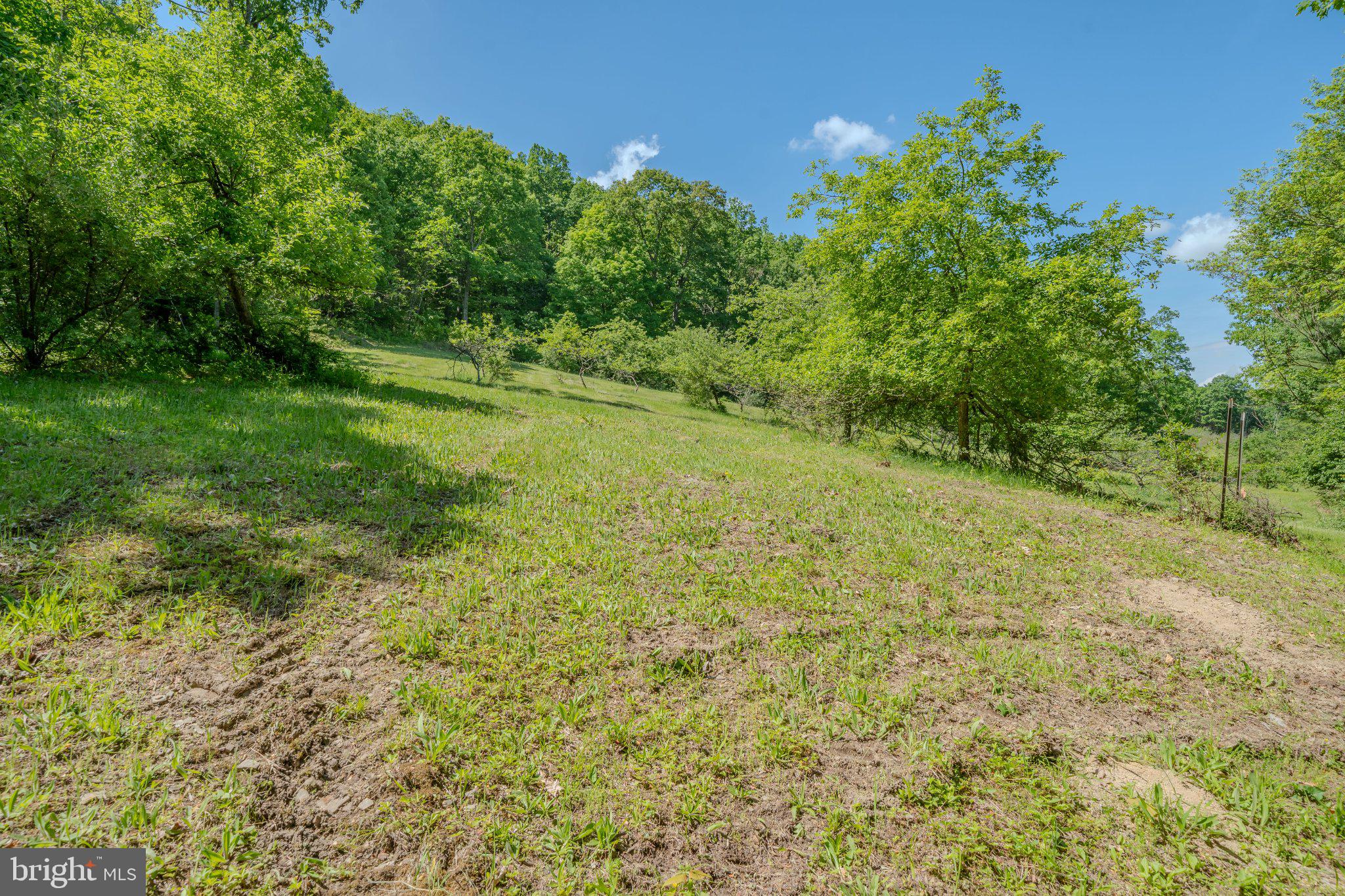 1520 Lingle Valley Road Milroy, PA 17063 - Photo 78 of 144 Lush hillside under a clear blue sky.