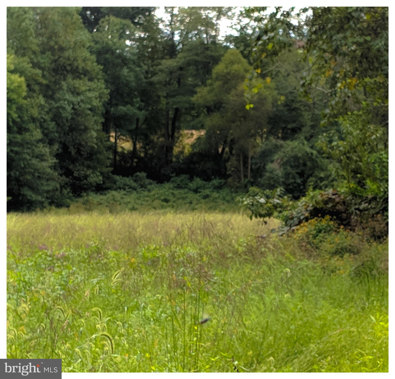 726 Jackson Hall School Road Elkton, MD 21921 - Photo 10 of 12 View