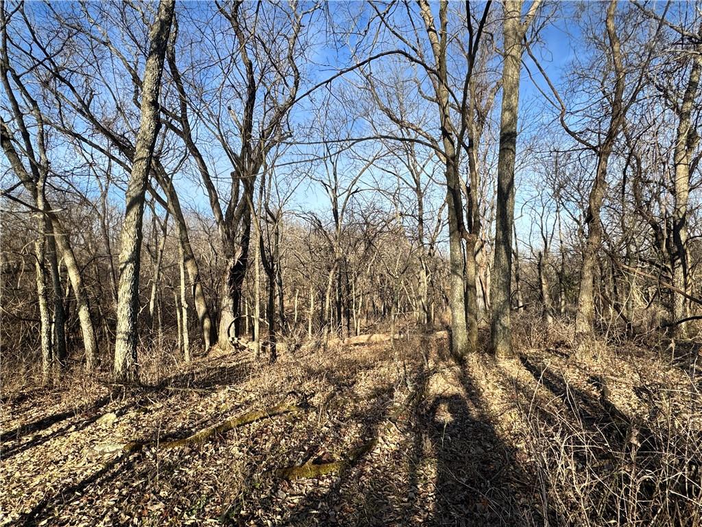 10003 Northeast Rd Butler Mo 64720 Road Butler, MO 64730 - Photo 11 of 31
