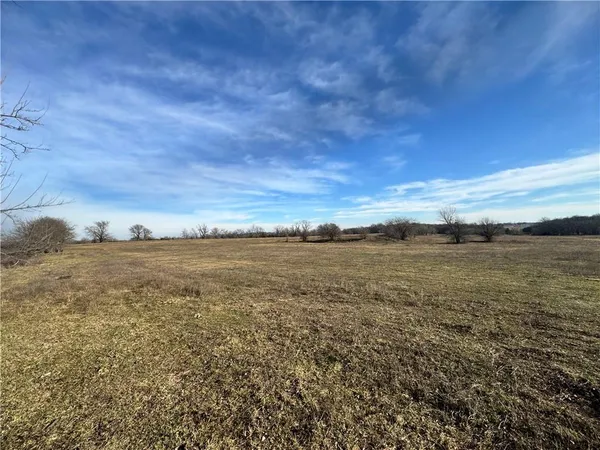 $990,000 | 10003 Northeast Rd Butler Mo 64720 Road, Butler, MO 64730