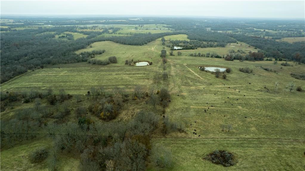 10003 Northeast Rd Butler Mo 64720 Road Butler, MO 64730 - Photo 27 of 31