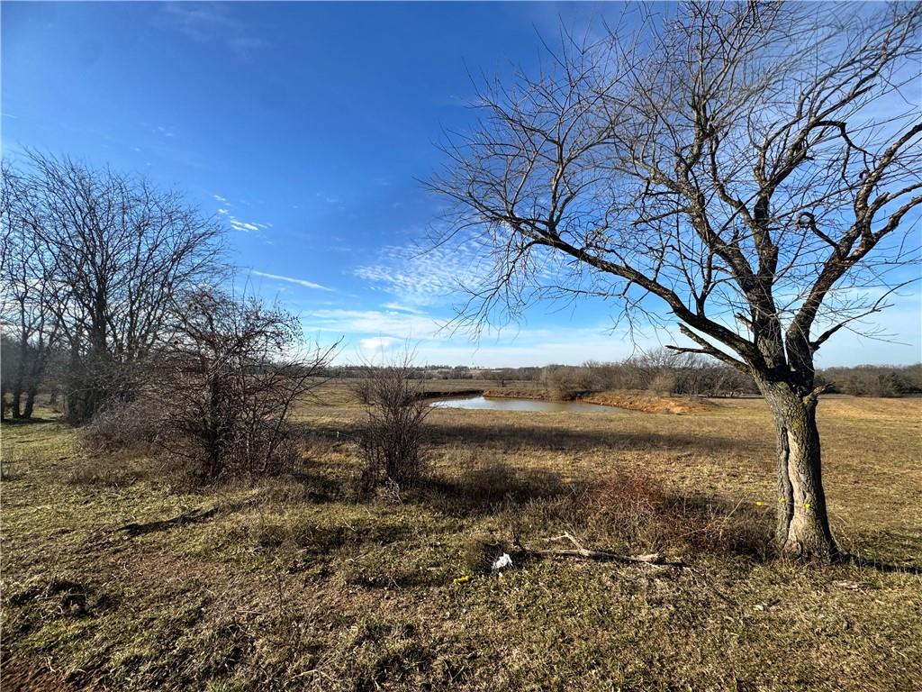 10003 Northeast Rd Butler Mo 64720 Road Butler, MO 64730 - Photo 3 of 31