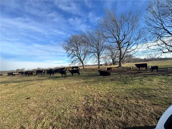 $990,000 | 10003 Northeast Rd Butler Mo 64720 Road, Butler, MO 64730