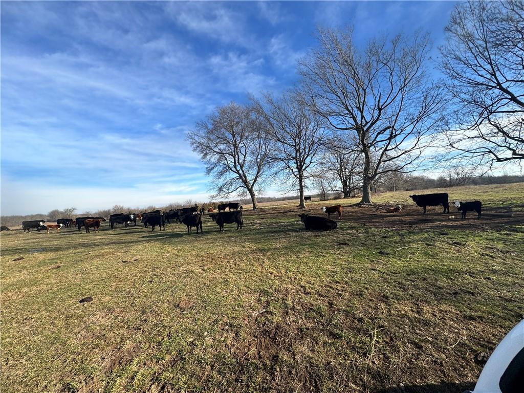 10003 Northeast Rd Butler Mo 64720 Road Butler, MO 64730 - Photo 5 of 31