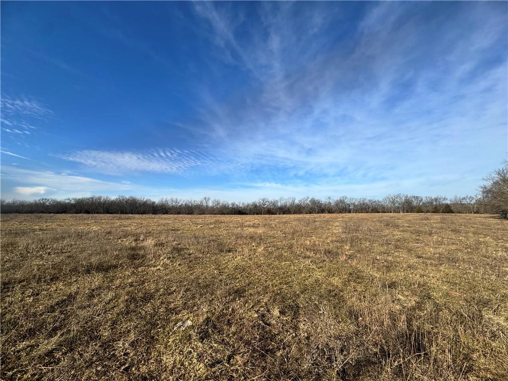 10003 Northeast Rd Butler Mo 64720 Road Butler, MO 64730 - Photo 8 of 31