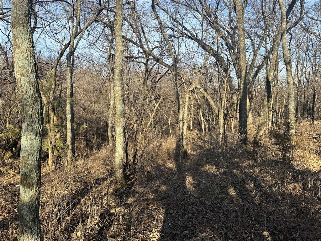 10003 Northeast Rd Butler Mo 64720 Road Butler, MO 64730 - Photo 9 of 31