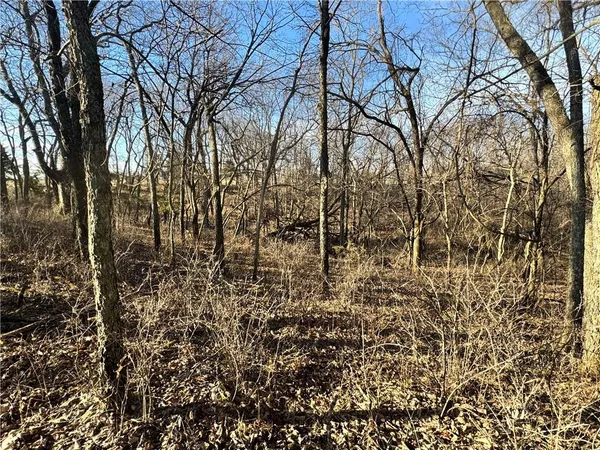 $990,000 | 10003 Northeast Rd Butler Mo 64720 Road, Butler, MO 64730