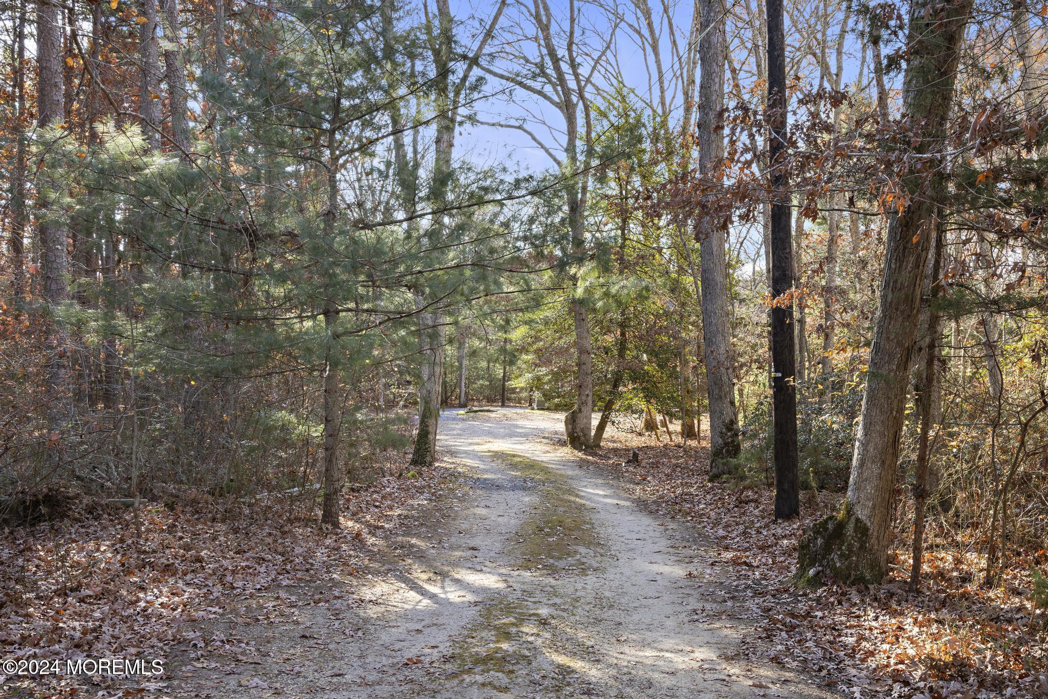 679 Nugentown Road Little Egg Harbor, NJ 08087 - Photo 4 of 61 679 Nugentown Rd (21)