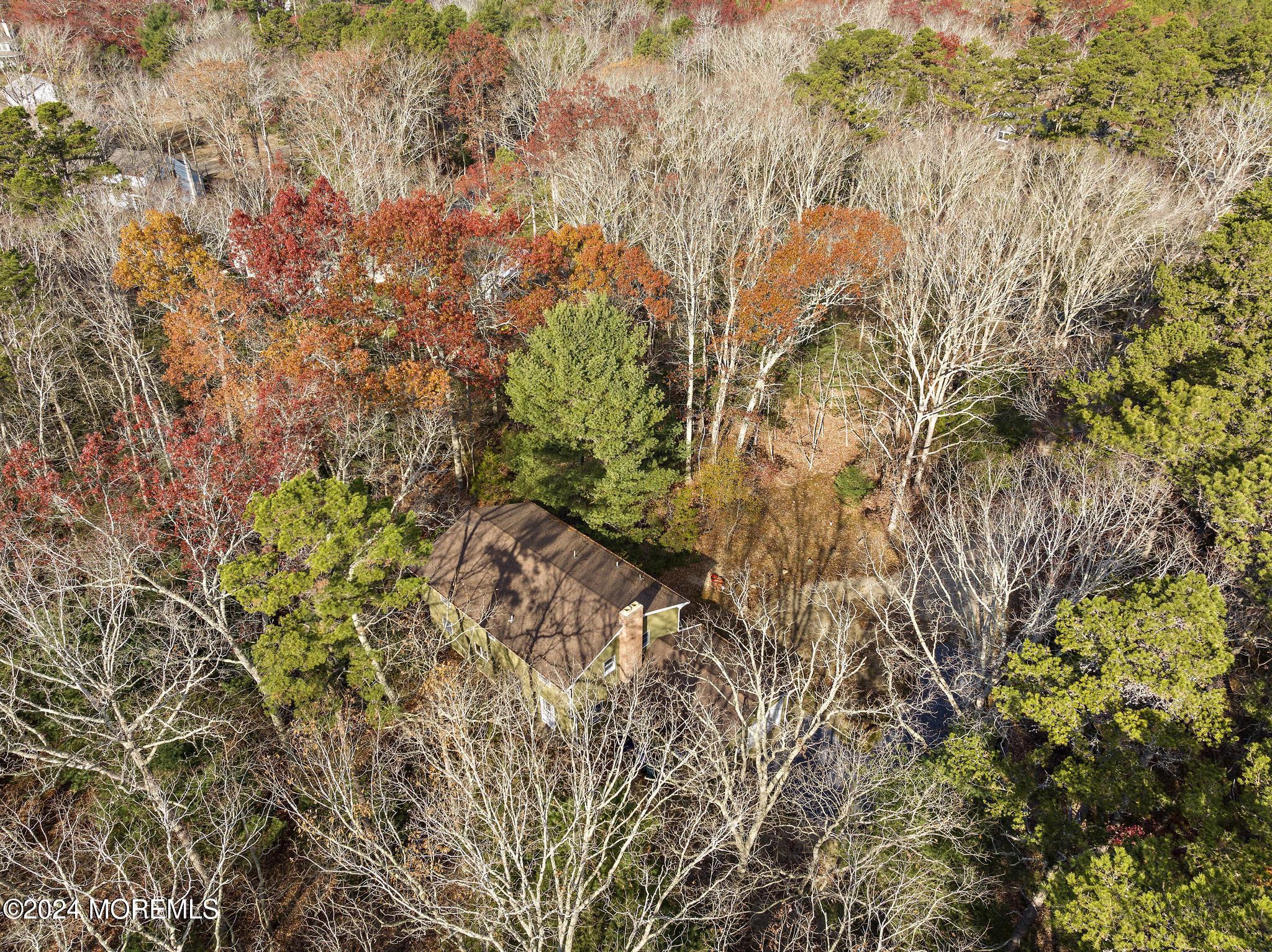 679 Nugentown Road Little Egg Harbor, NJ 08087 - Photo 56 of 61 679 Nugentown Rd (17)