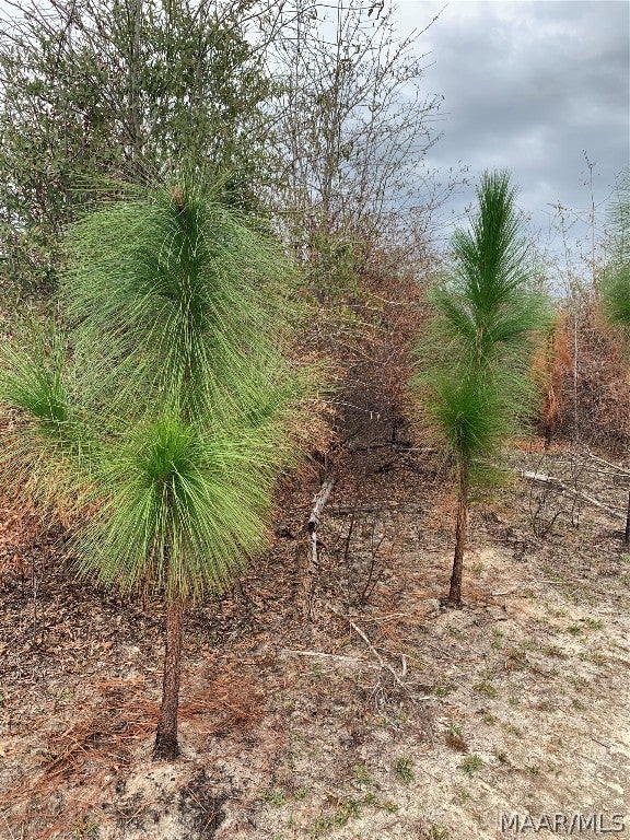 0 Ray Armstrong Road Andalusia, AL 36421 - Photo 20 of 34 Gallery Image 20