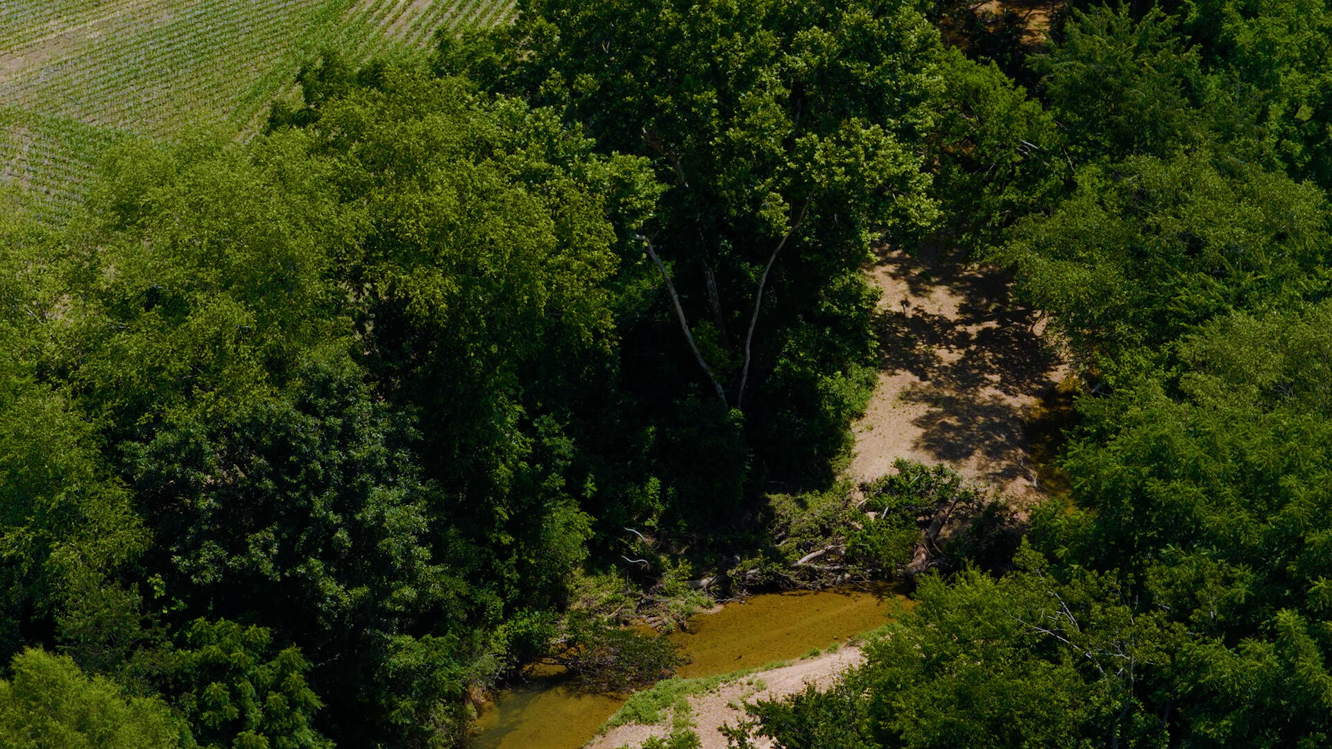 5279 State Line Road East Hazel, KY 42049 - Photo 66 of 93 41