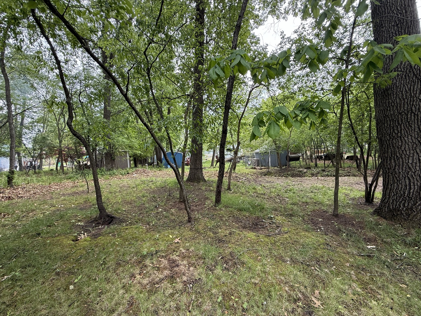 21-191 Woodhaven Lakes Sublette, IL 61367 - Photo 20 of 22 a view of outdoor space and trees