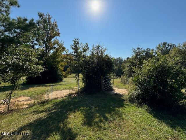 4192 Hopewell Road Harrisville, MS 39082 - Photo 70 of 73 IMG_8620