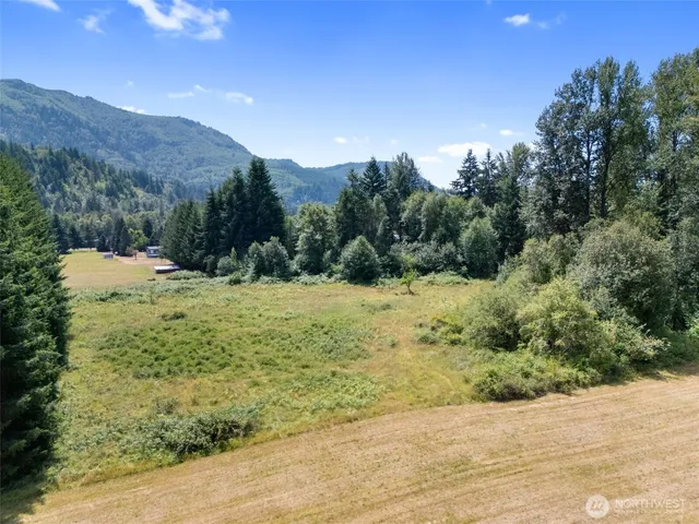 a view of a yard with a tree