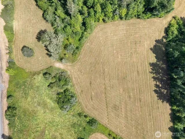 a view of a yard with an outdoor space